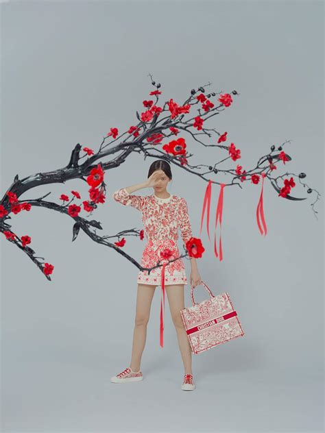 dior chinese new year